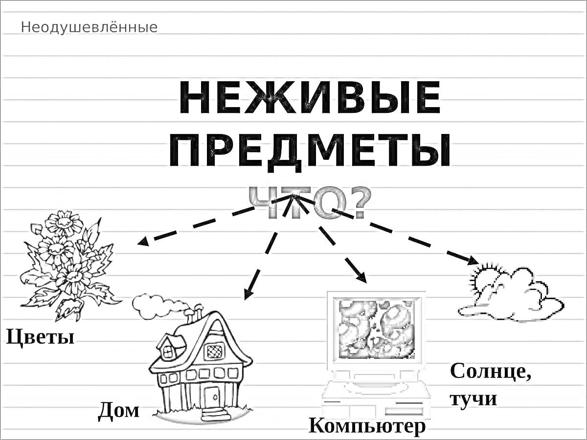 Раскраска Неживые предметы - цветы, дом, компьютер, солнце, тучи