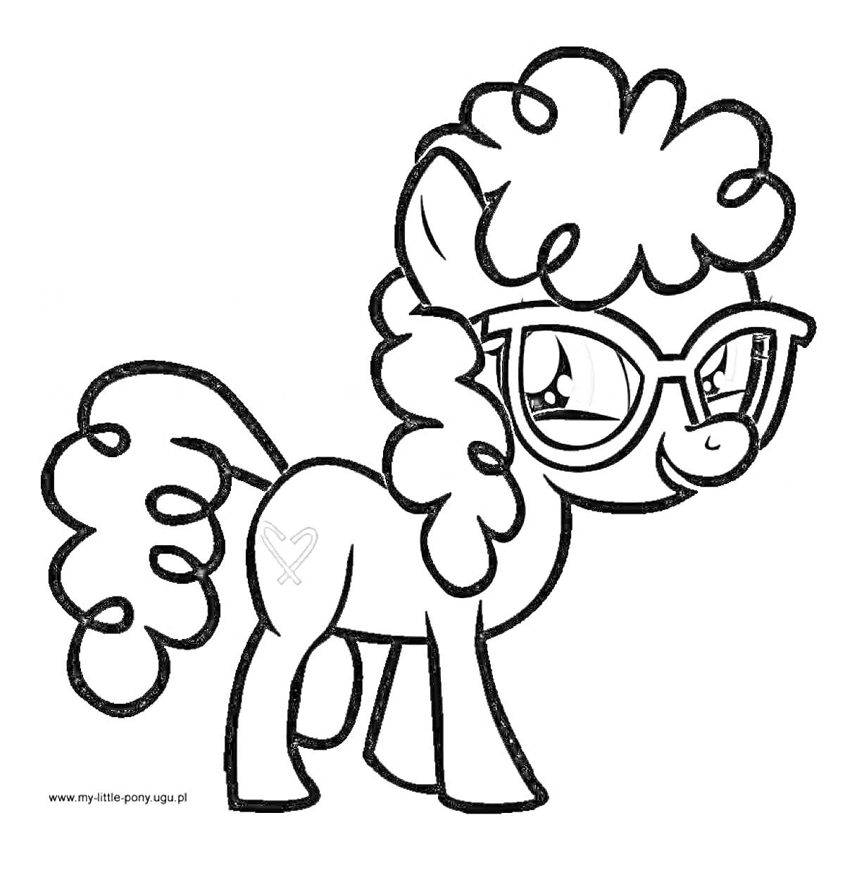 Раскраска Пони с кудрявой гривой и хвостом, в очках