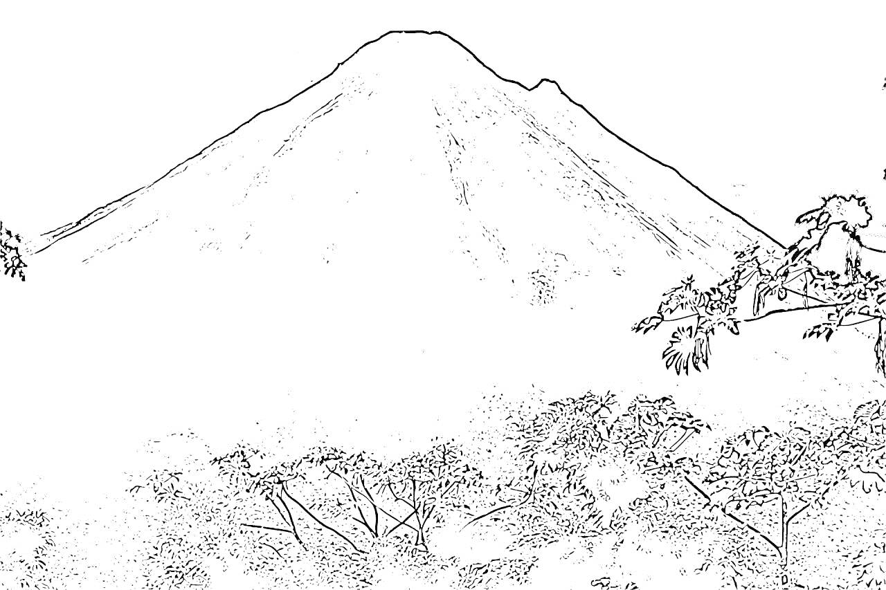 Раскраска Вулкан с растительностью на переднем плане