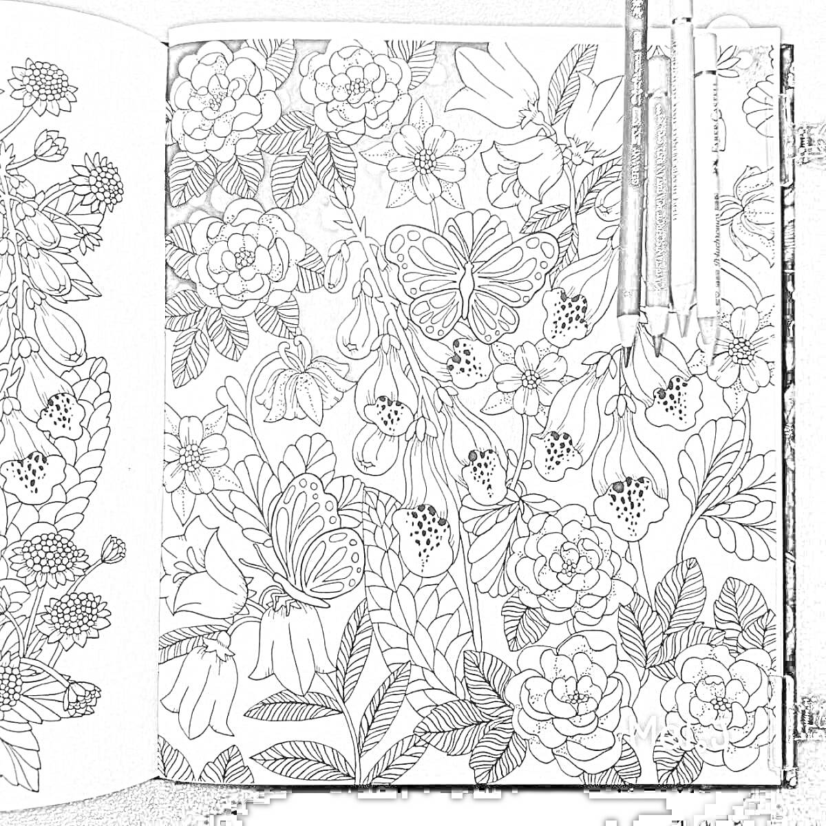 Раскраска Страница раскраски-антистресс с узорами цветов, бабочек и листьев, раскрашенная частично, с тремя цветными карандашами