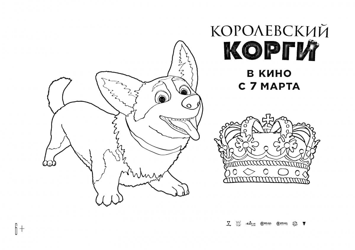 Раскраска королевский корги, стоящий корги, корона, текст 