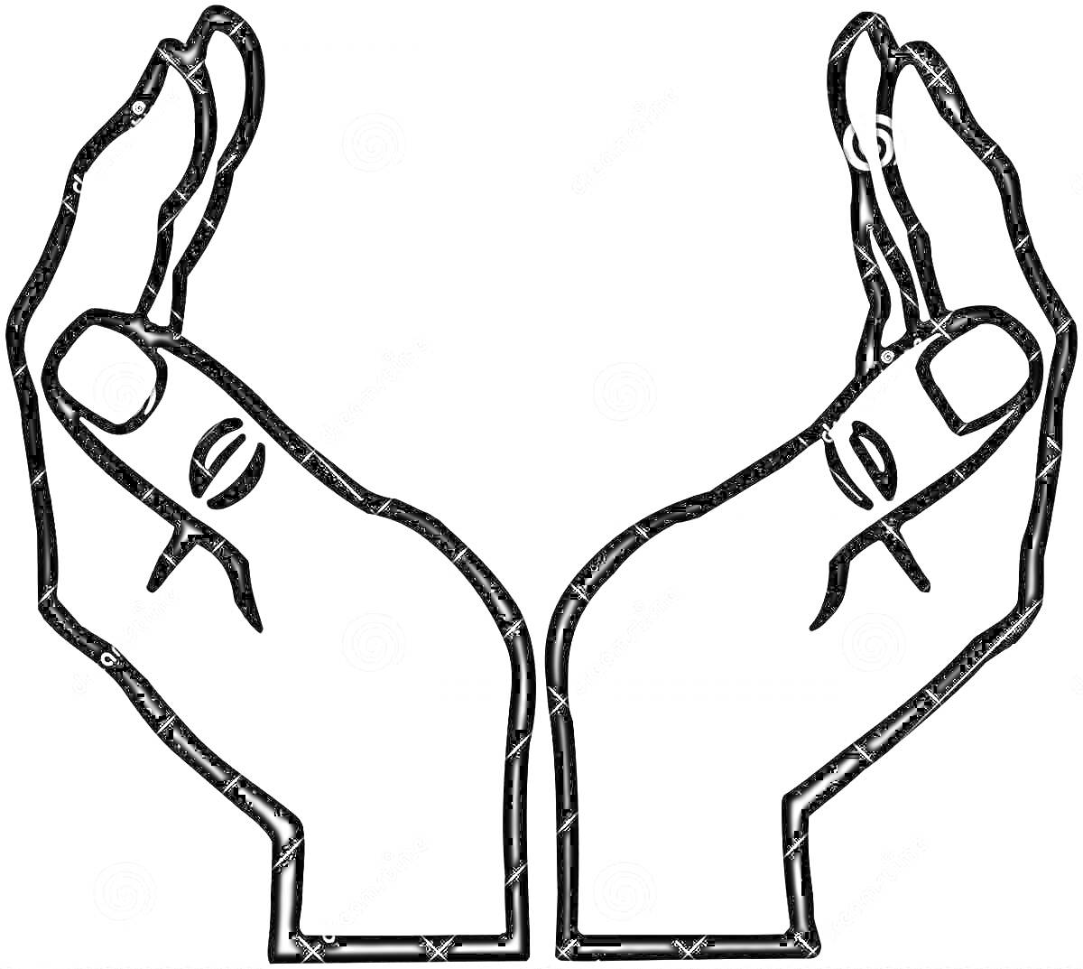 Раскраска Две руки ладонями вверх