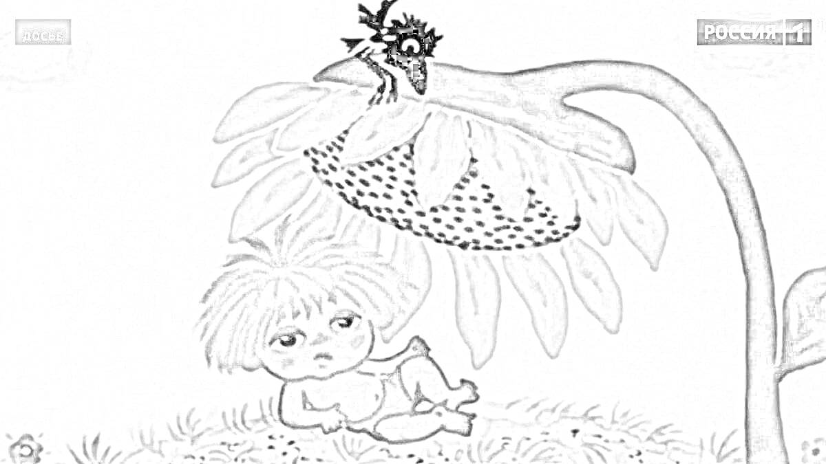Раскраска Малыш Антошка под большим подсолнухом с черной птицей на цветке