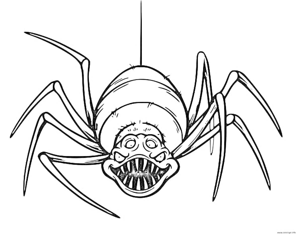 Раскраска Большой паук с восьмью длинными ногами и улыбающимся лицом на ниточке паутины