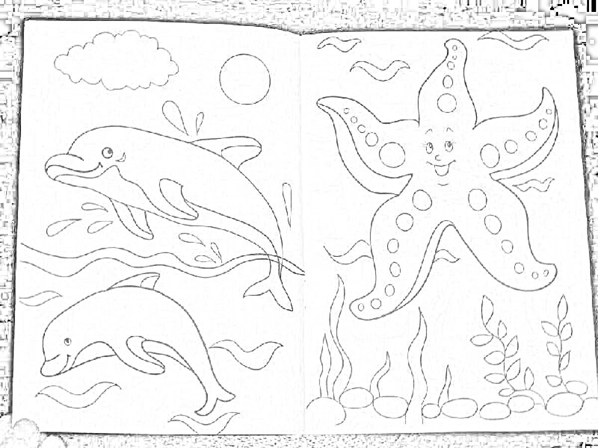 На раскраске изображено: Подводное царство, Дельфины, Водоросли, Пузыри, Море, Творчество