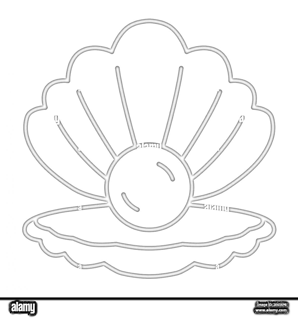 На раскраске изображено: Ракушка, Жемчужина, Раковина, Море, Морская жизнь