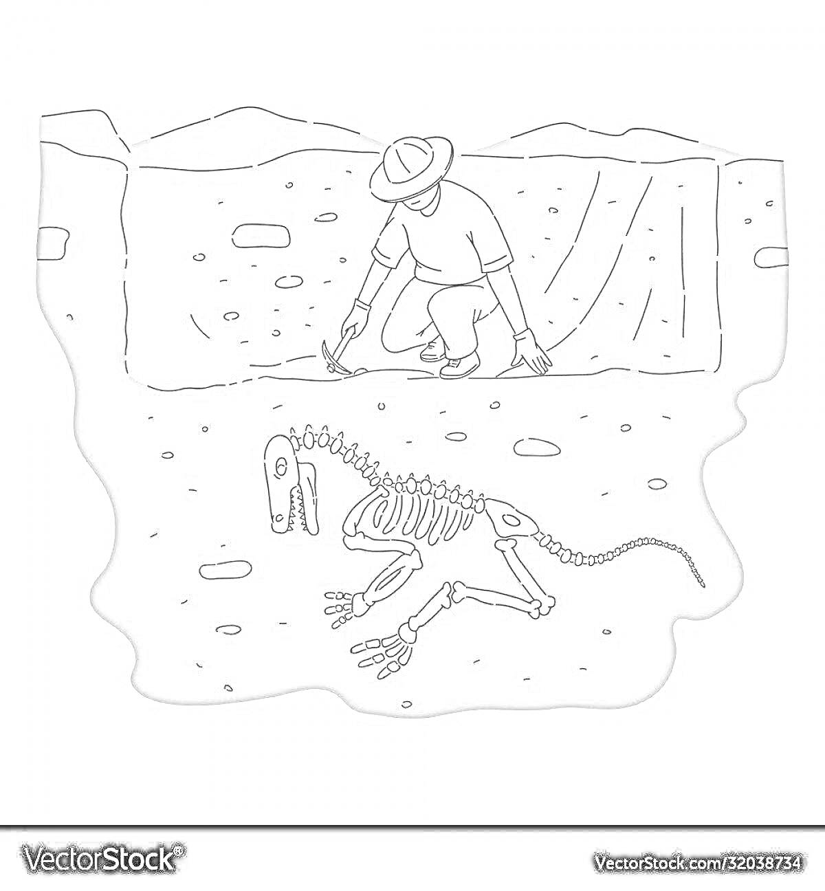 На раскраске изображено: Археолог, Раскопки, Скелет динозавра, Работник, Лопата, Шляпа, Яма, Поле, Камни