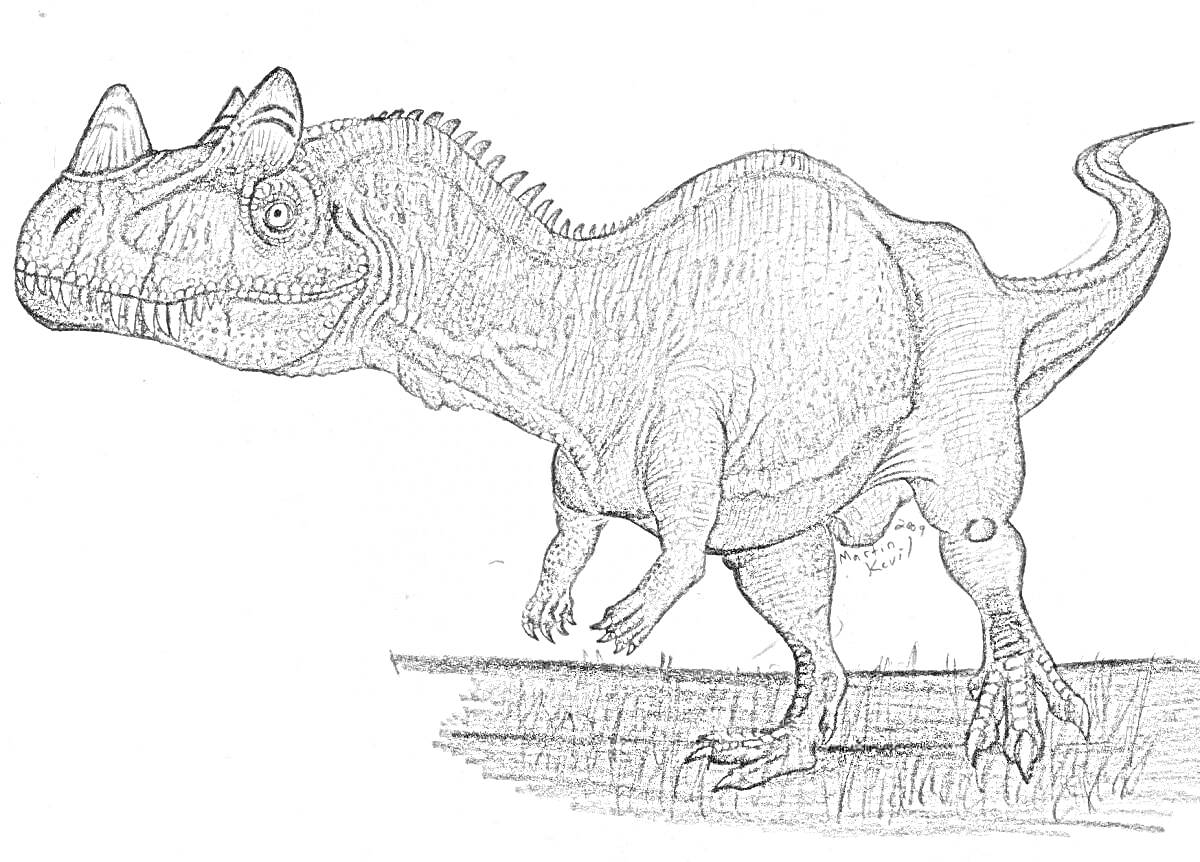 Цератозавр на травянистой поверхности