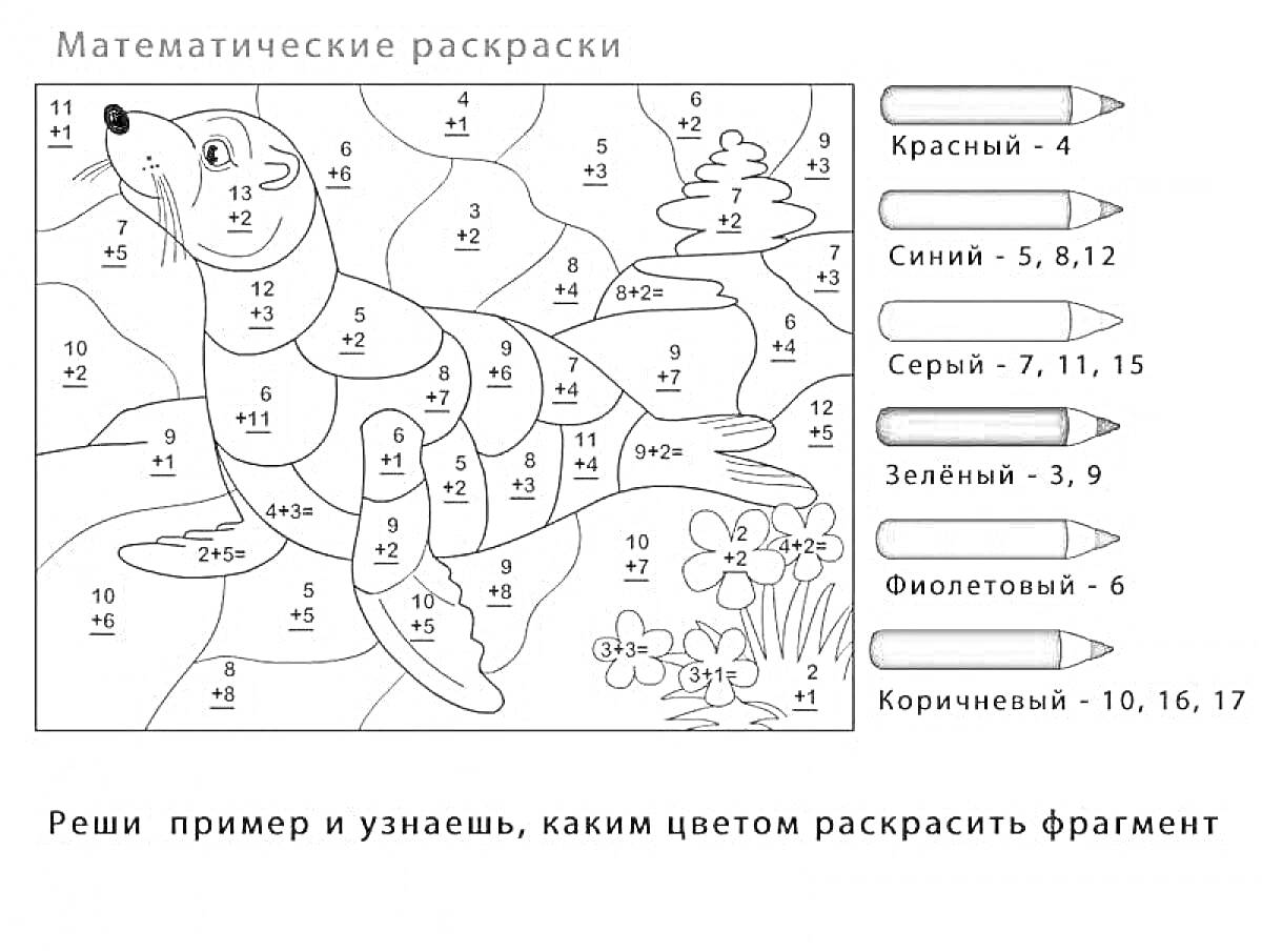 На раскраске изображено: Математика, 1 класс, Счет, Морской котик, Цветы