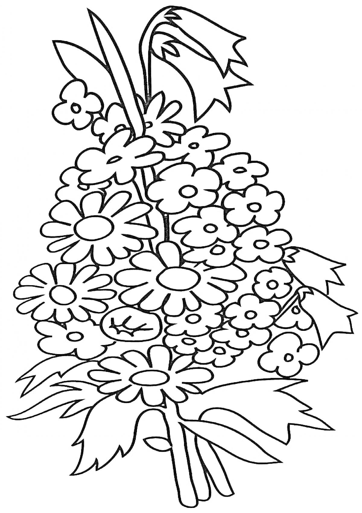Раскраска Букет незабудок и ромашек с листьями