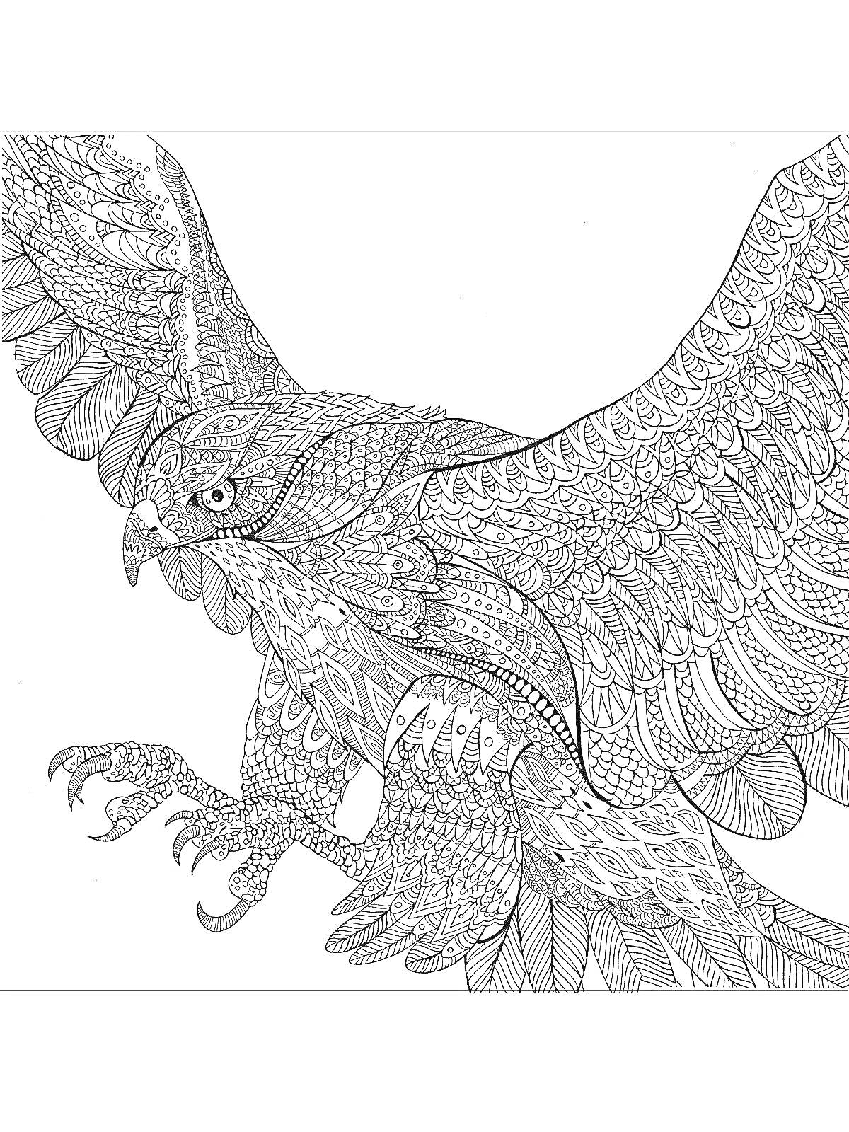 На раскраске изображено: Орел, Расправленные крылья, Узоры, Антистресс, Птица
