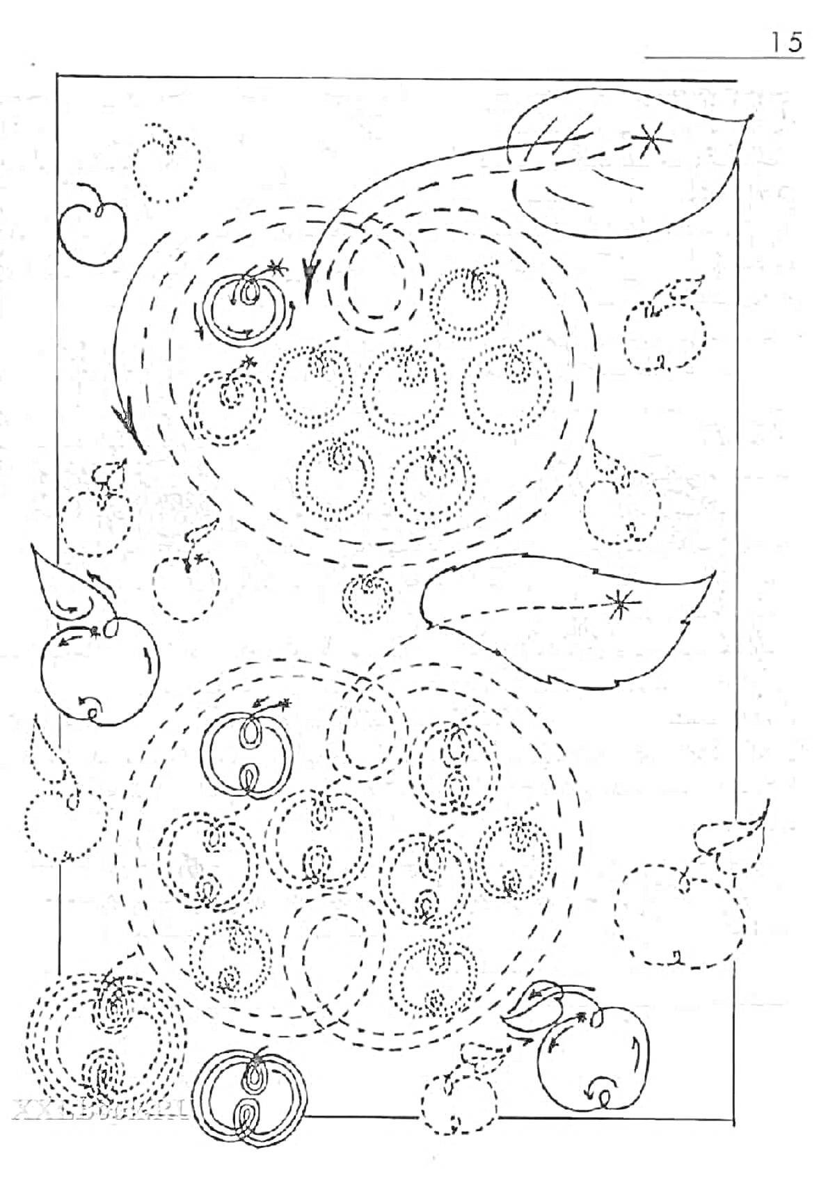 Раскраска яблоки и листья с контурами и узорами для обводки