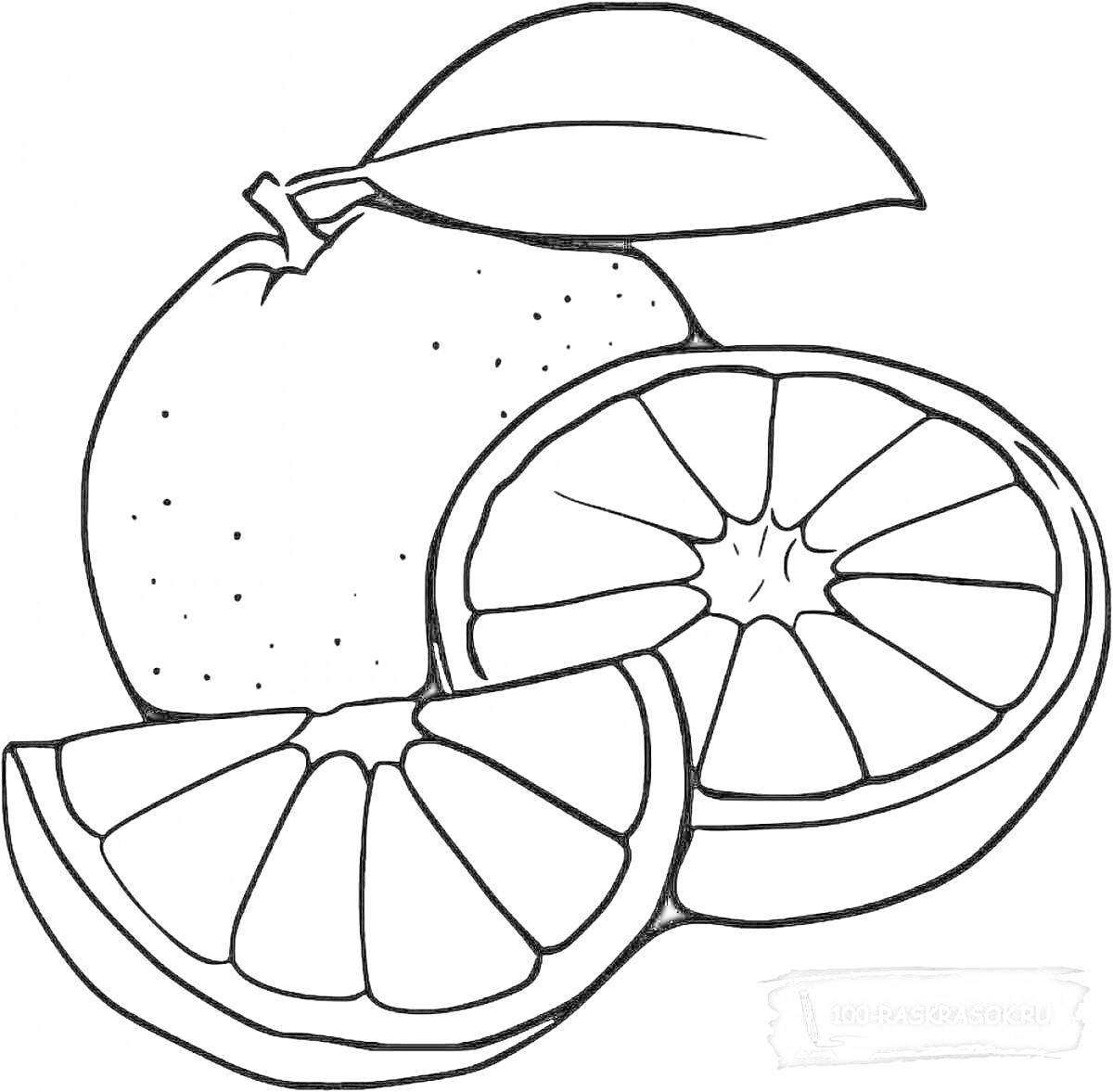 Раскраска Апельсин с листочком и дольками