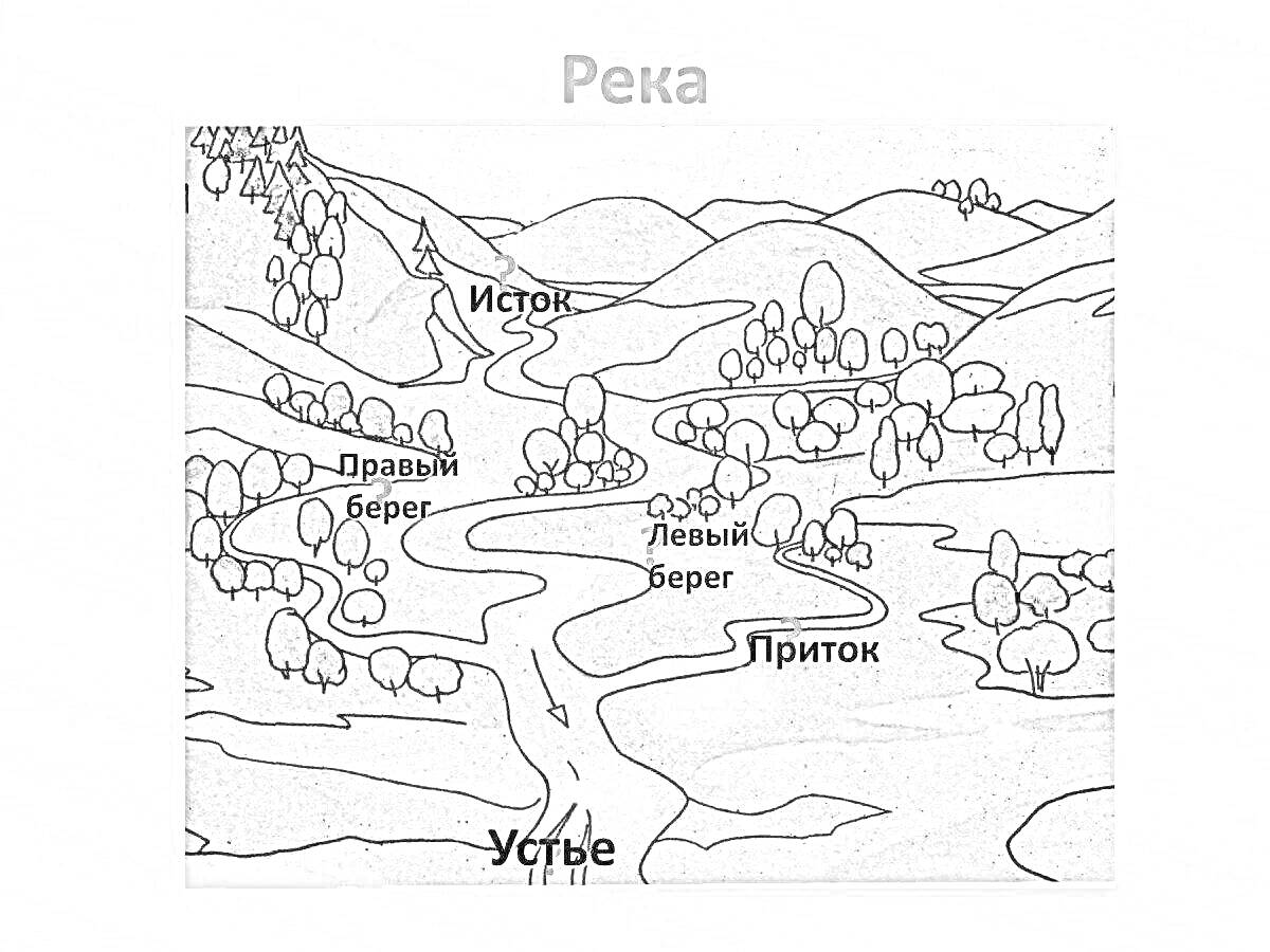 Раскраска Река с элементами - исток, правый берег, левый берег, приток, устье