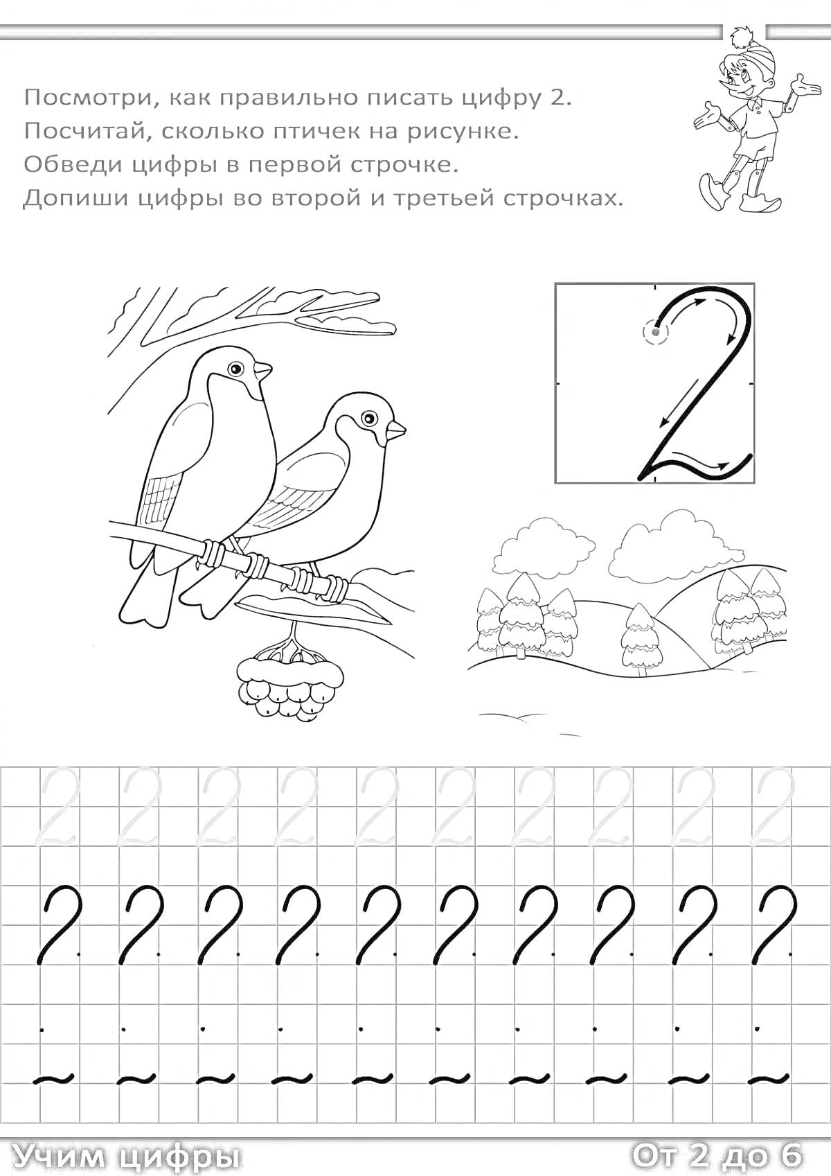 Раскраска как правильно писать цифру 2. Птицы на ветке, цифра 2, деревья на фоне, контурные цифры для обведения