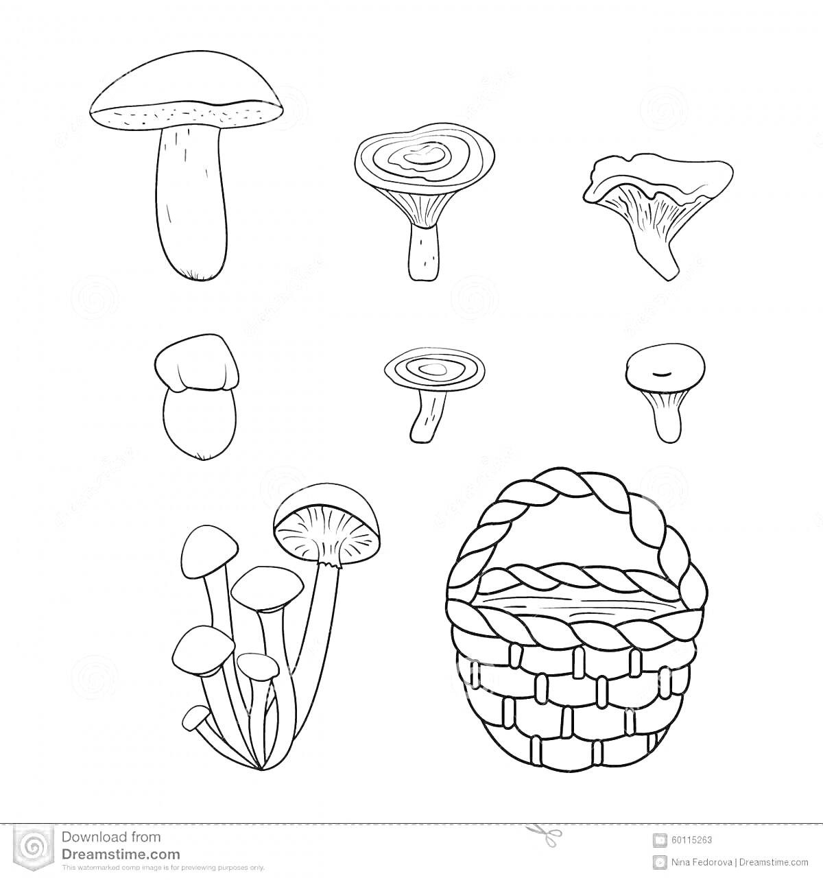 Раскраска Корзина с грибами: различные грибы и плетёная корзина