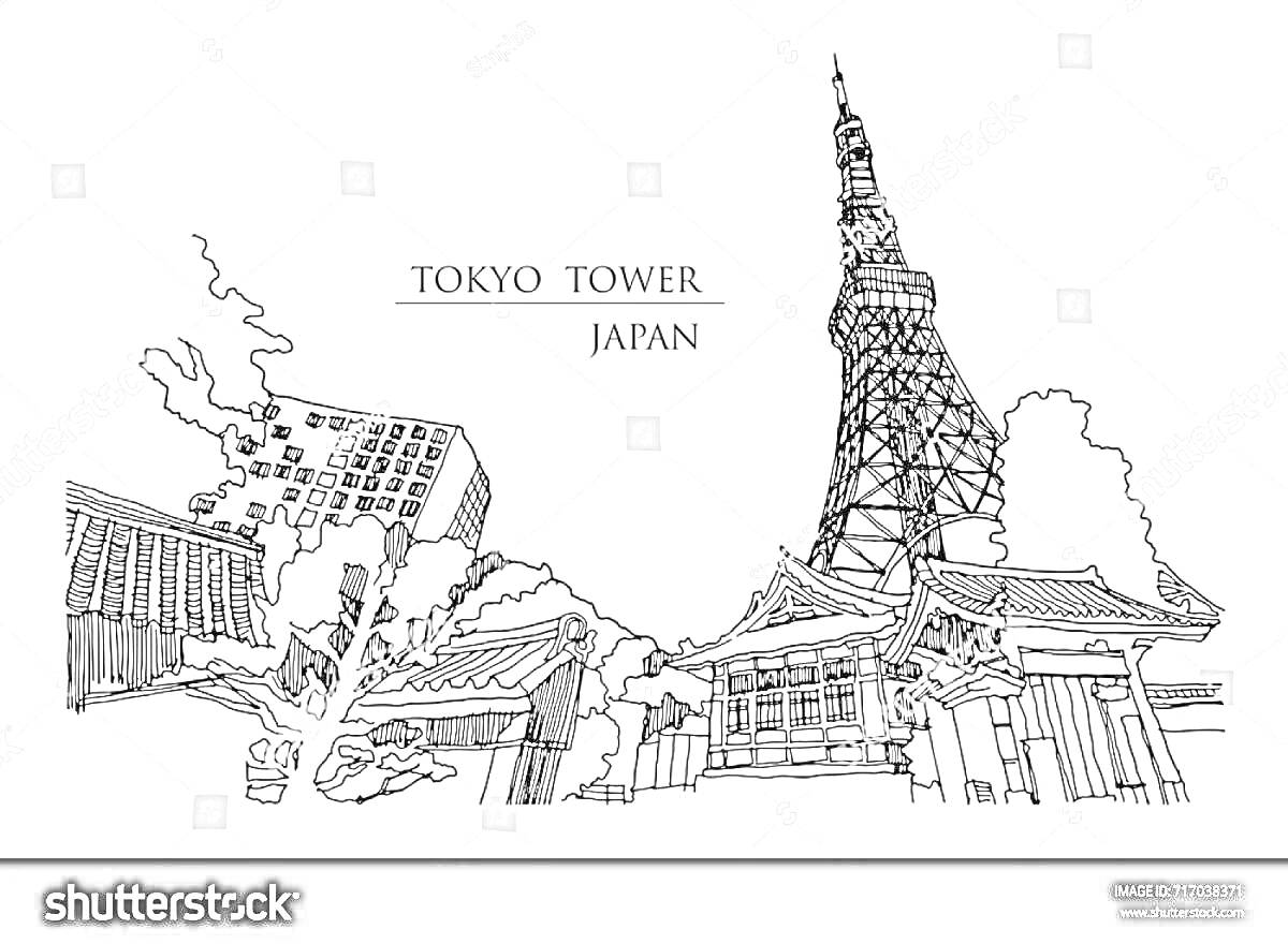 На раскраске изображено: Токио, Храм, Здания, Япония, Архитектура, Достопримечательности