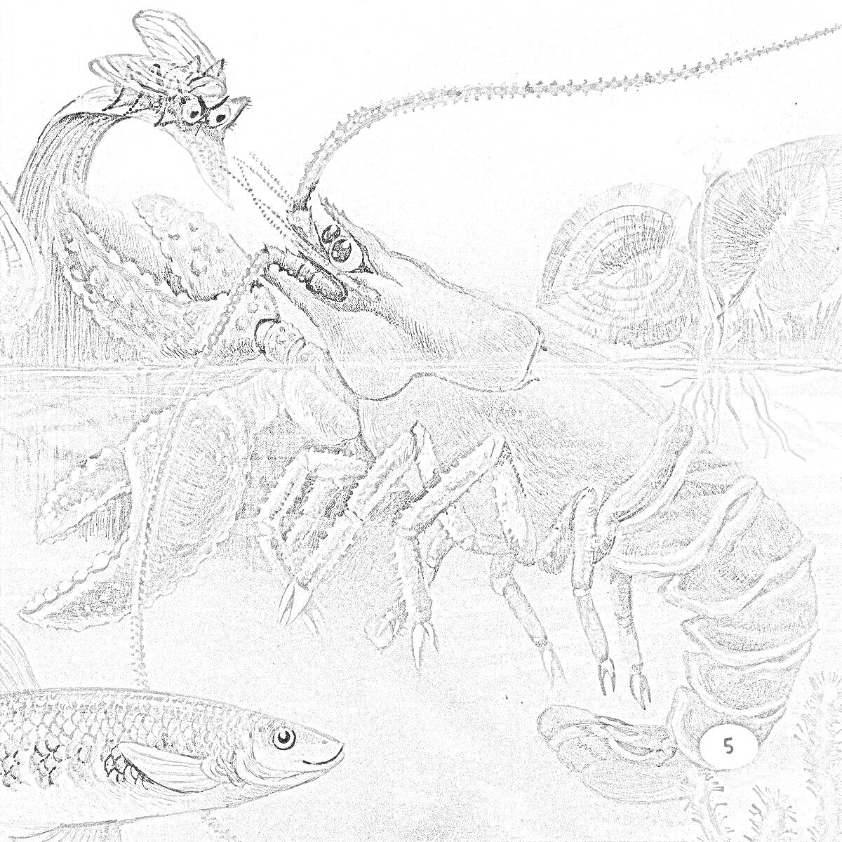 Раскраска Лобстер и кузнечик у озера с рыбами и растительностью