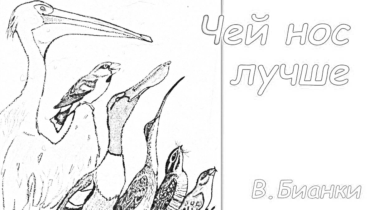 Раскраска Птицы различных видов с разными формами клювов на фоне текста, содержится подпись В. Бианки