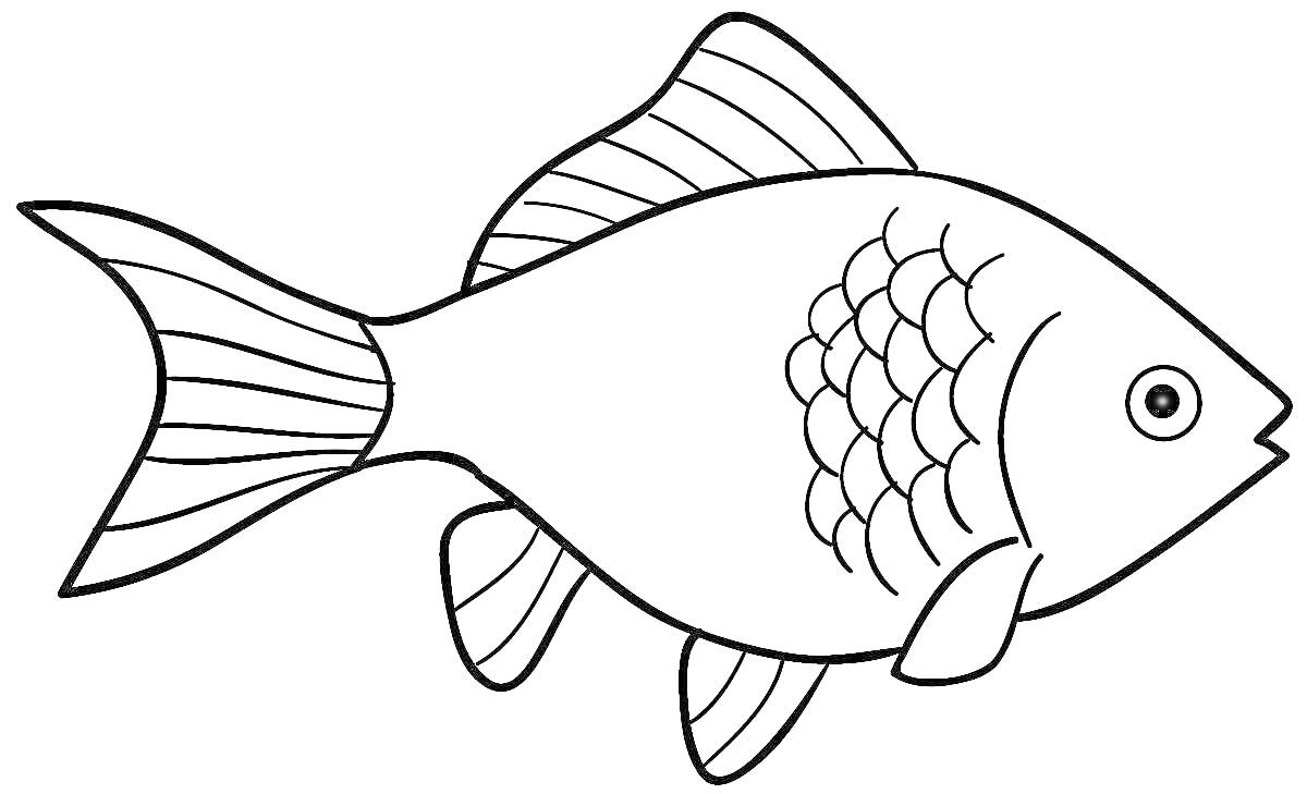 Раскраска Раскраска с изображением рыбы с чешуей, плавниками и хвостом
