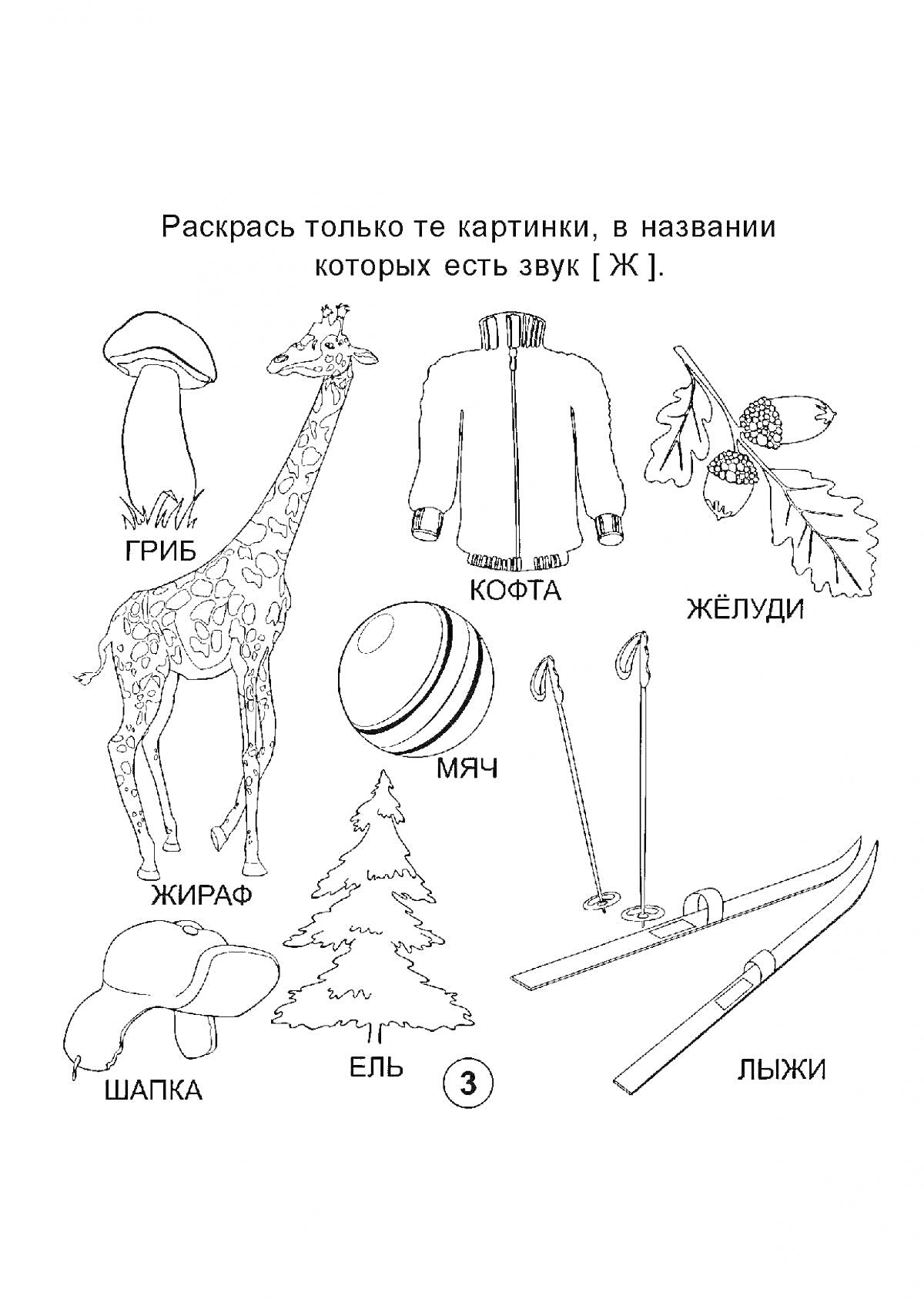 На раскраске изображено: Шапка, Кофта, Лыжи