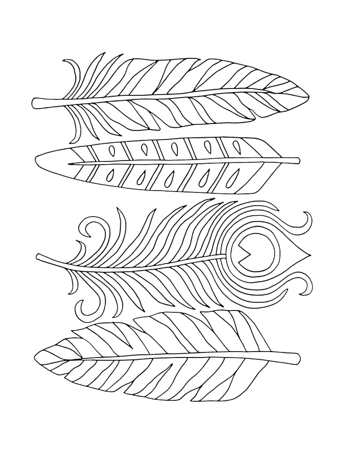 Раскраска Четыре пера с различным узором, включая декоративное перо с завитками и глазком