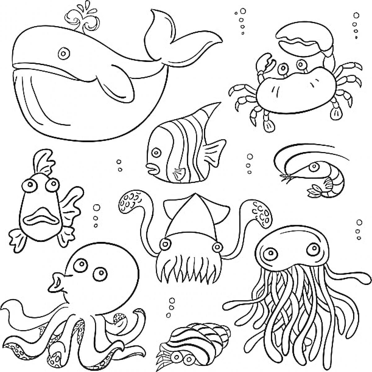 Раскраска Кит, краб, рыба, осьминог, кальмар, медуза, креветка, улитка, экзотическая рыба