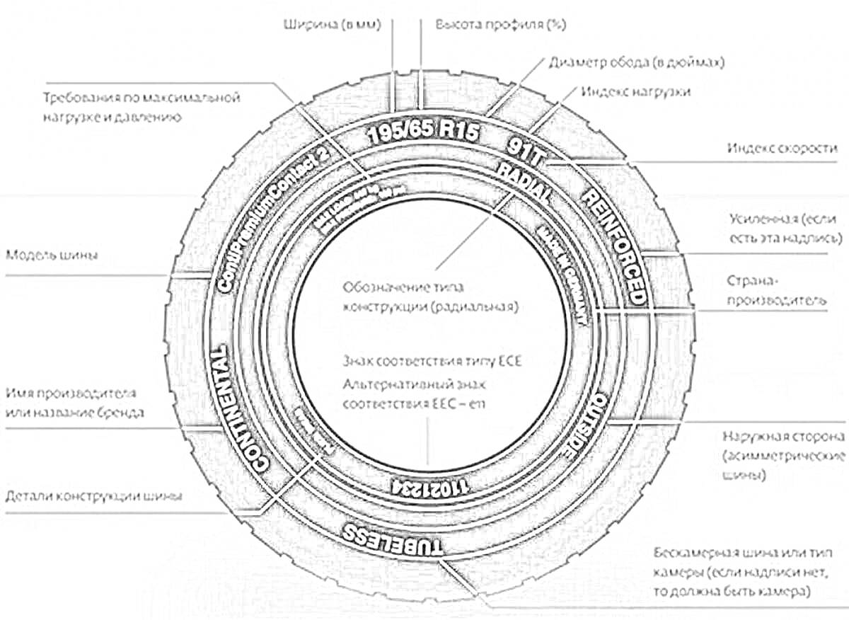 Шина с характеристиками: ширина (мм), высота профиля (%), диаметр обода (в дюймах), нагрузка и скорость, тип конструкции (радиальная), размер (195/65 R15), год производства, производитель (Continental), страна происхождения, индекс скорости, внешний вид и