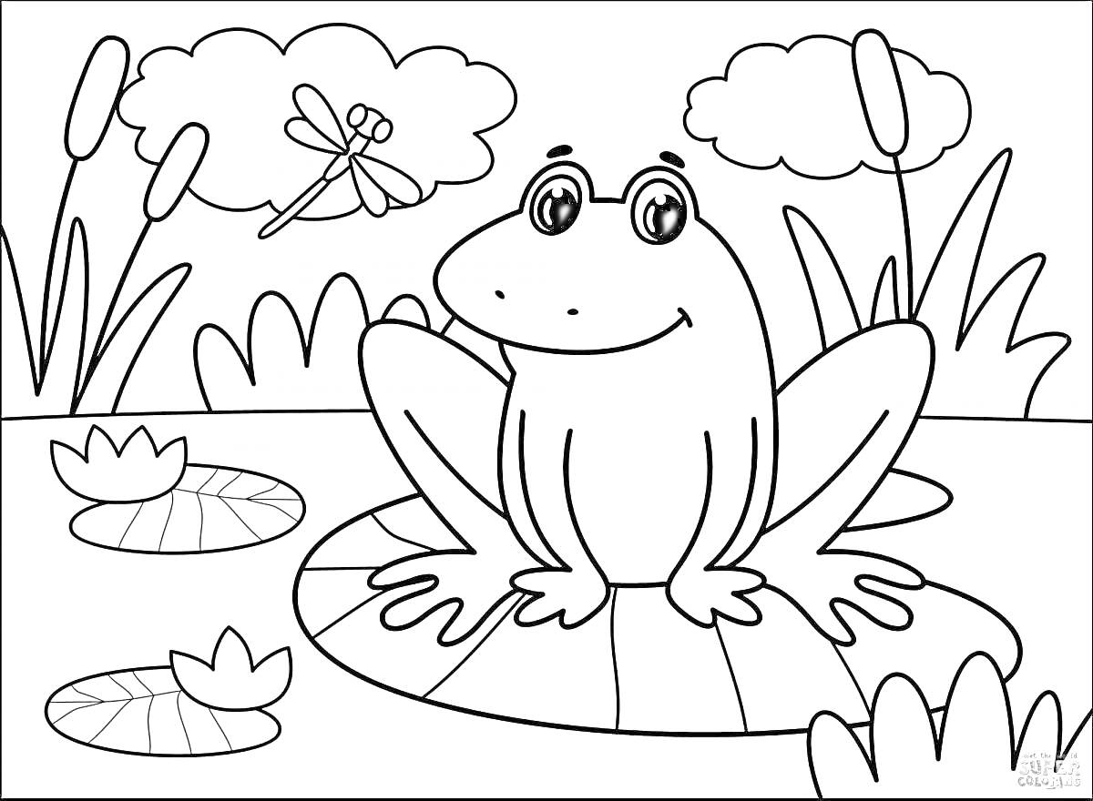 Раскраска Лягушка на кувшинке с стрекозой, тростником и облаками