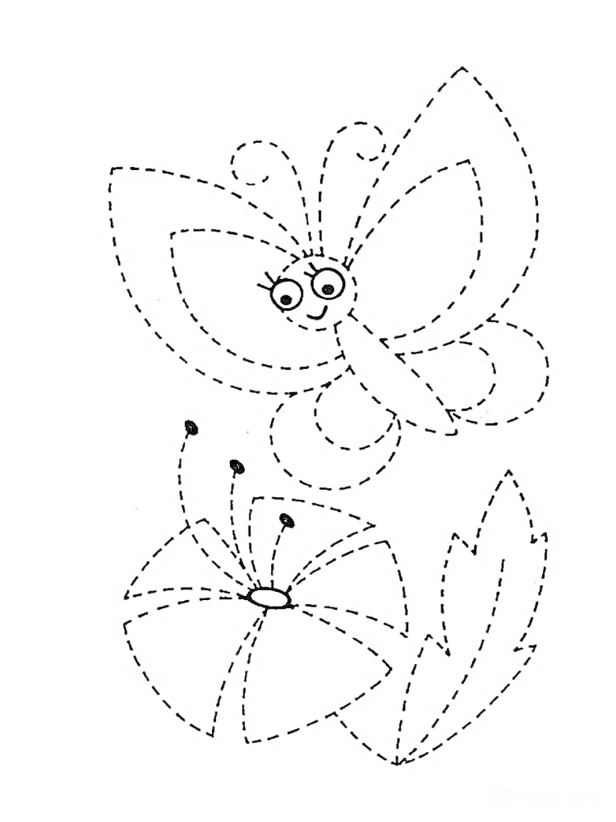 Раскраска Бабочка и цветок по точкам