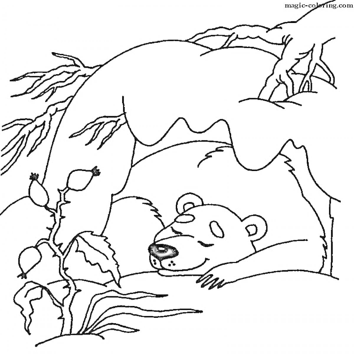 На раскраске изображено: Медведь, Берлога, Зима, Снег, Кусты, Деревья, Природа, Зимний лес