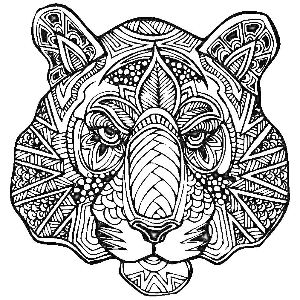 Раскраска Тигр с узорами и орнаментами на лице