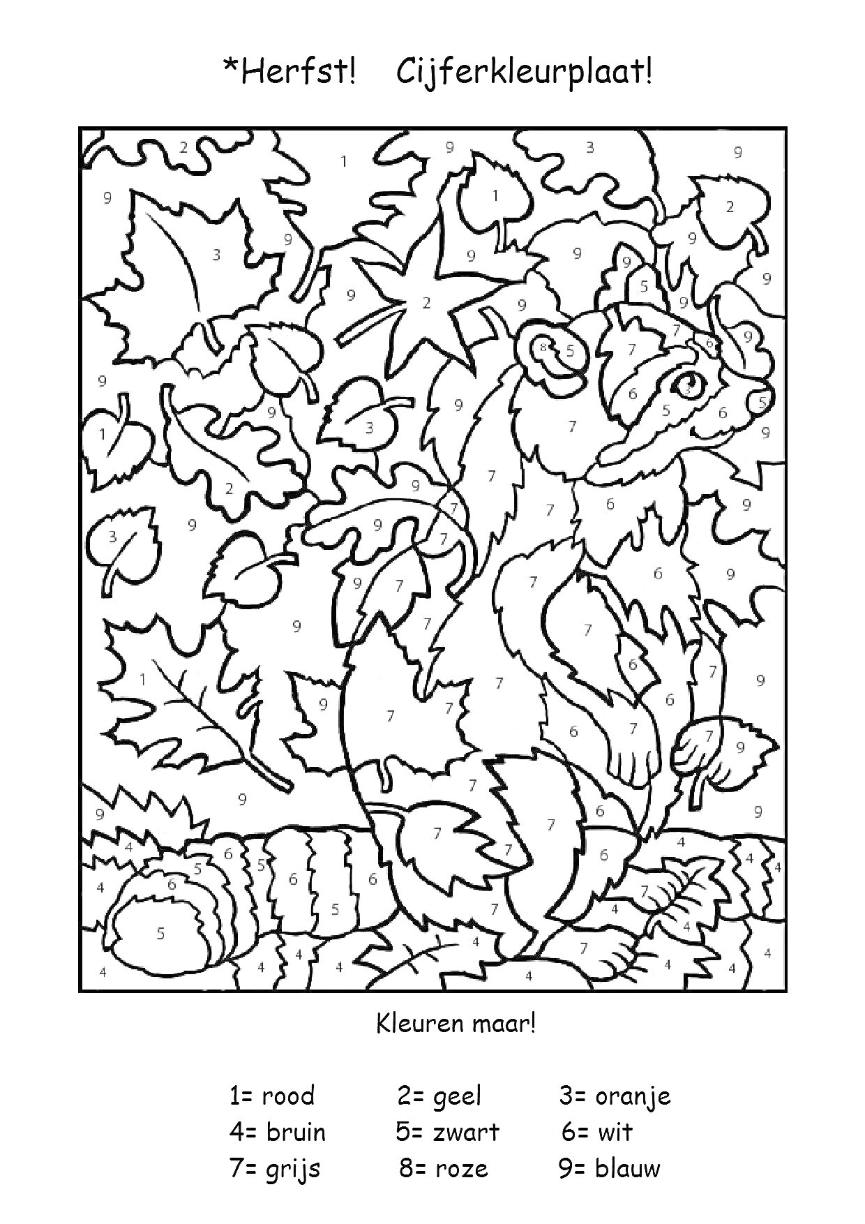 На раскраске изображено: По номерам, Енот, Листья, Осень, Обучение, Игра