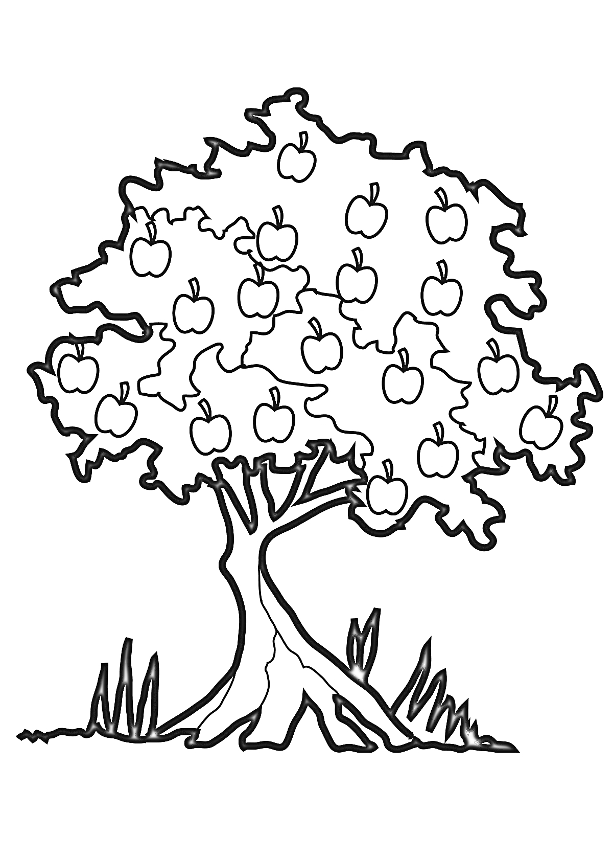 На раскраске изображено: Яблоня, Трава, Природа, Листья, Сад, Фрукты, Яблоко, Деревья, Контурные рисунки