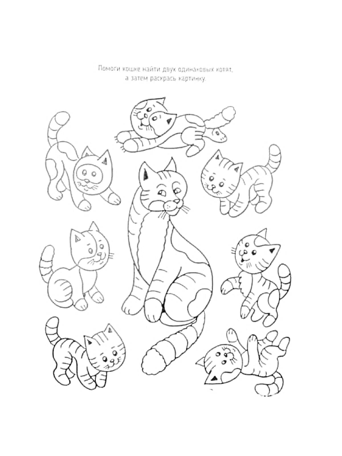 Раскраска Найди двух одинаковых котят среди группы котят и раскрась картинку