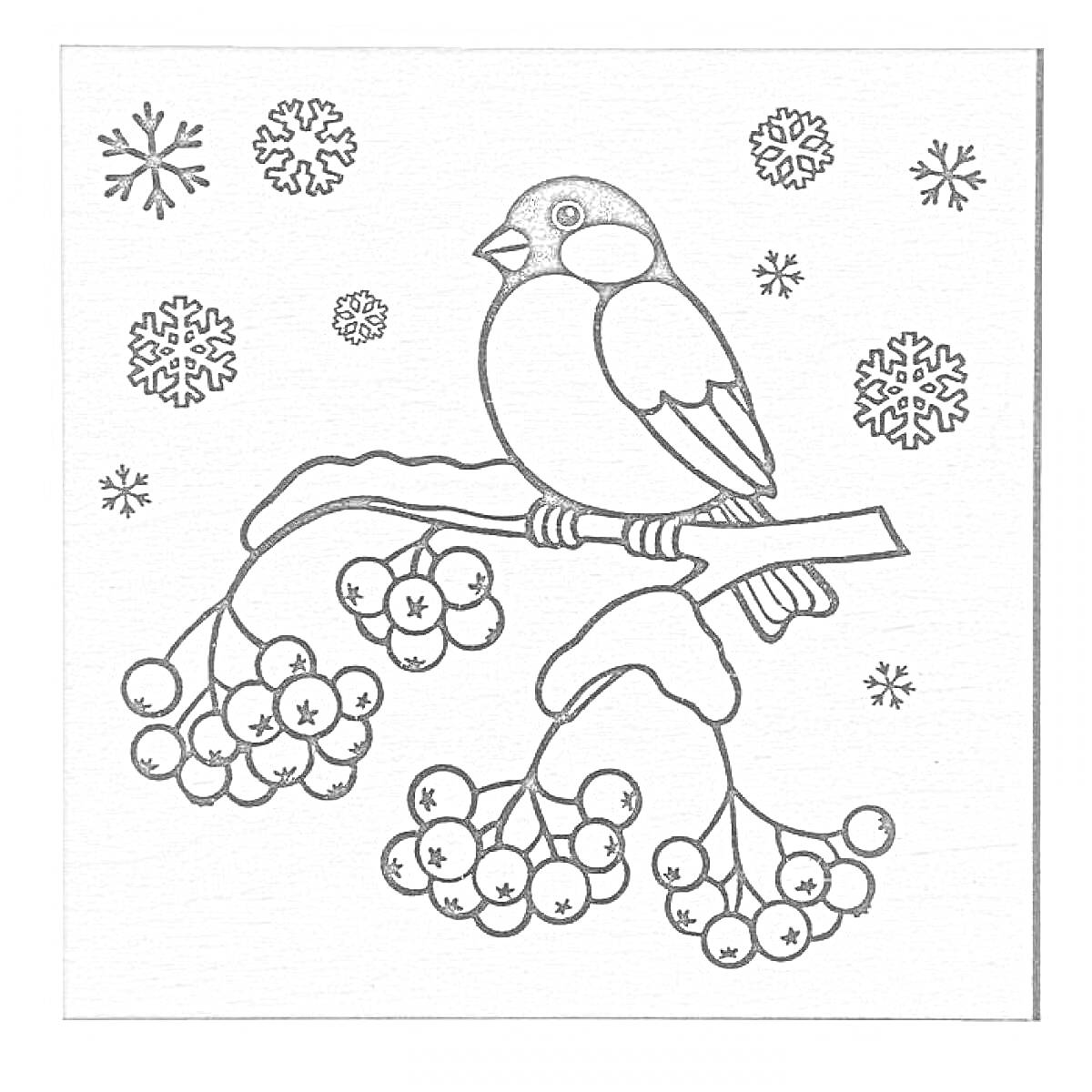 На раскраске изображено: Снегирь, Ветка рябины, Ягоды, Зима, Снег, Снежинки, Природа, Птица, Деревья