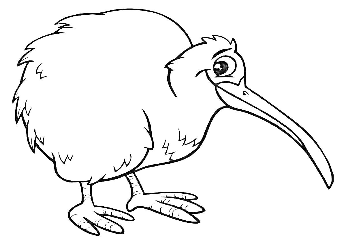 Раскраска Киви — небольшая птица с длинным клювом