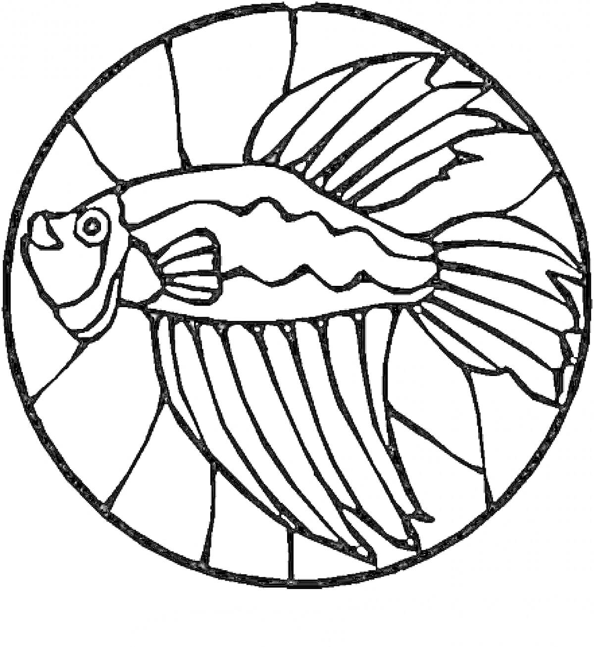 Раскраска Витраж с рыбой и узорными плавниками