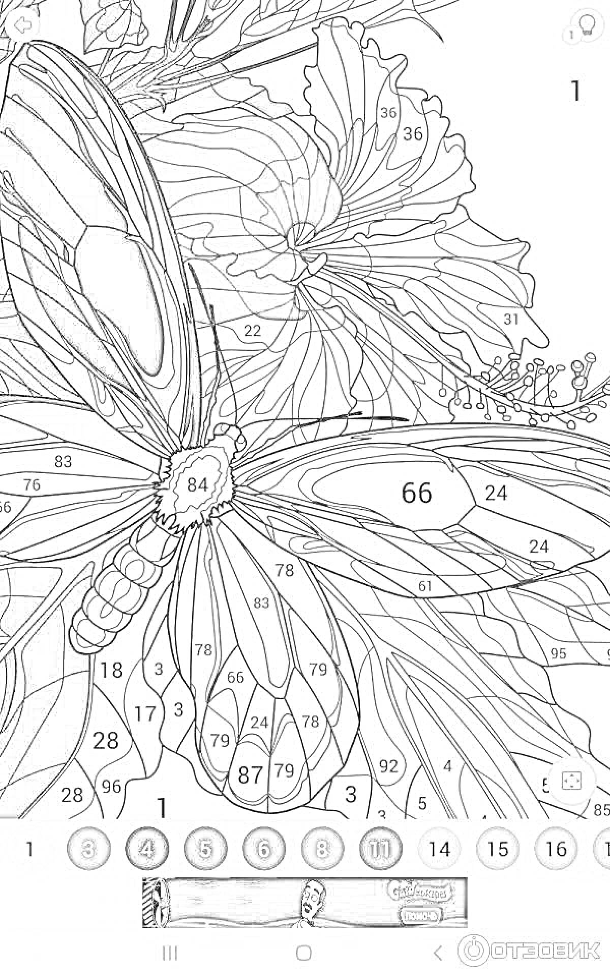На раскраске изображено: Бабочка, Цветы, Для взрослых, На телефон, По номерам