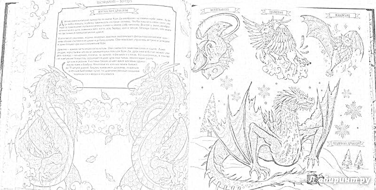 Раскраска фантастические существа - дракон, феникс, грифон, криокинез, чешуйчатый монстр, крылатый лев