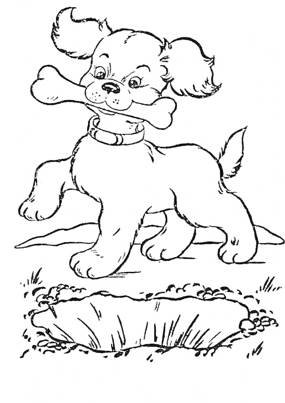 На раскраске изображено: Собака, На природе, Уши, Хвост, Ошейник, Кости