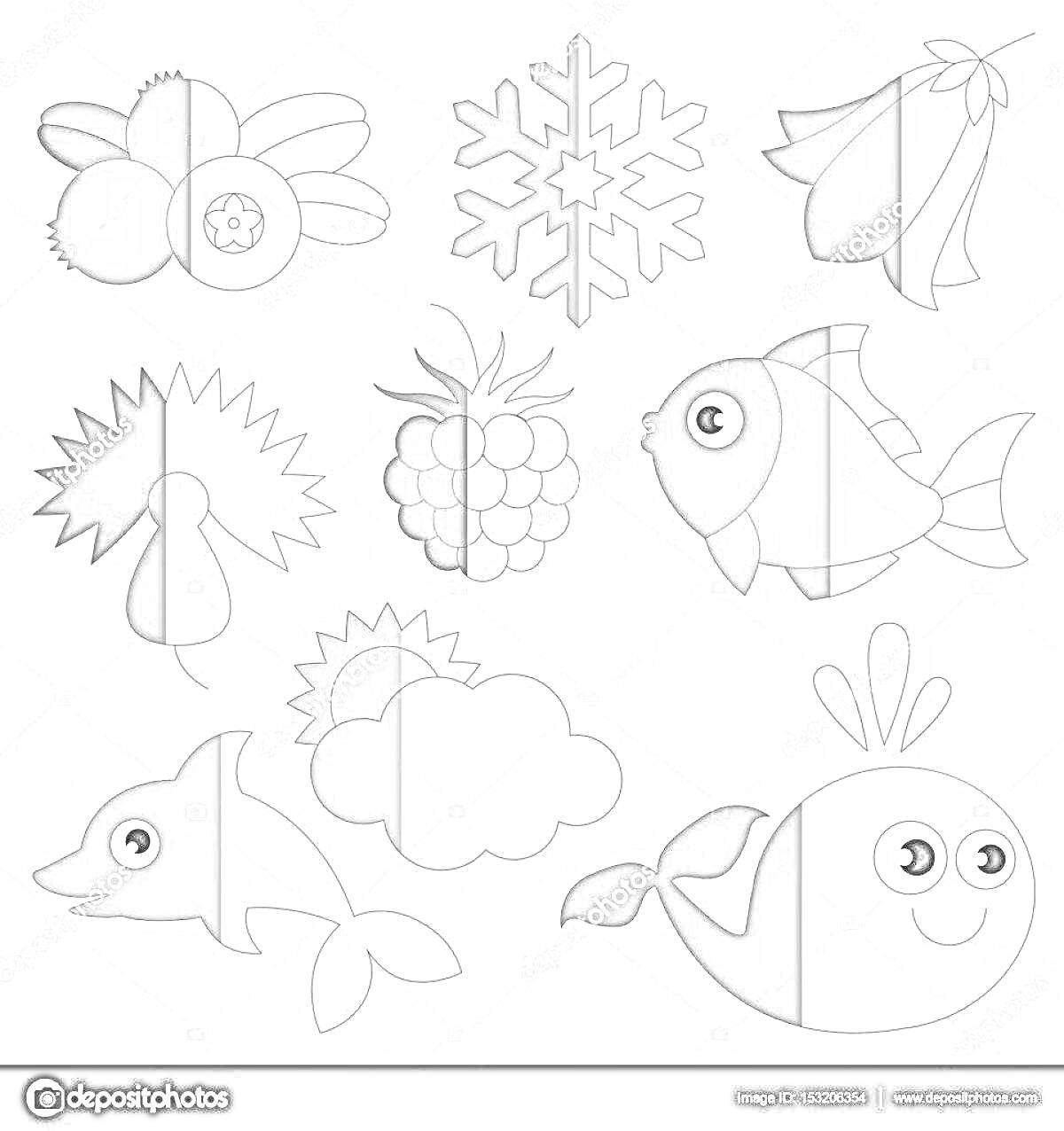 На раскраске изображено: Рыба, Бабочка, Облака, Цветы, Ягоды, Снежинки, Дельфины, Киты