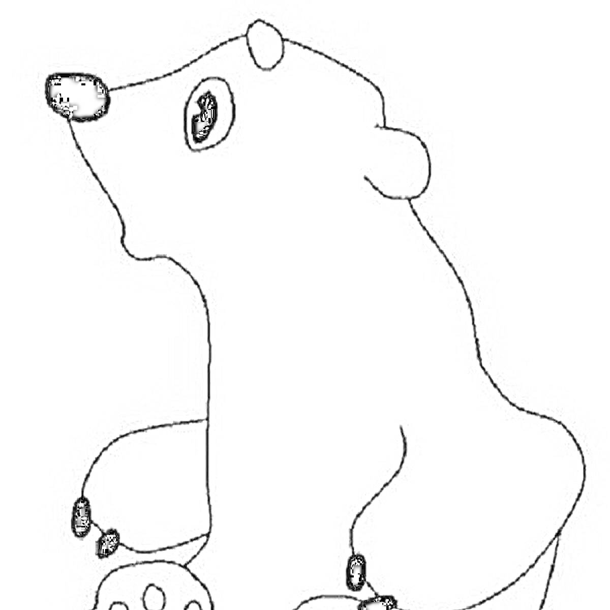 Раскраска Белый медведь с черным носом и лапами на сером фоне