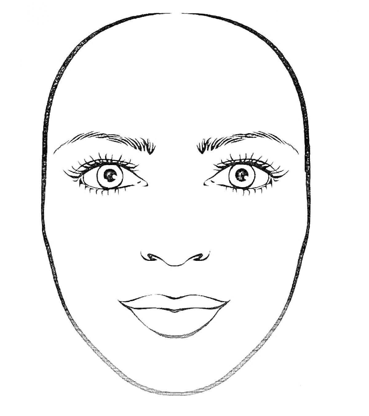 Контур лица с макияжем: глаза, брови, ресницы и губы
