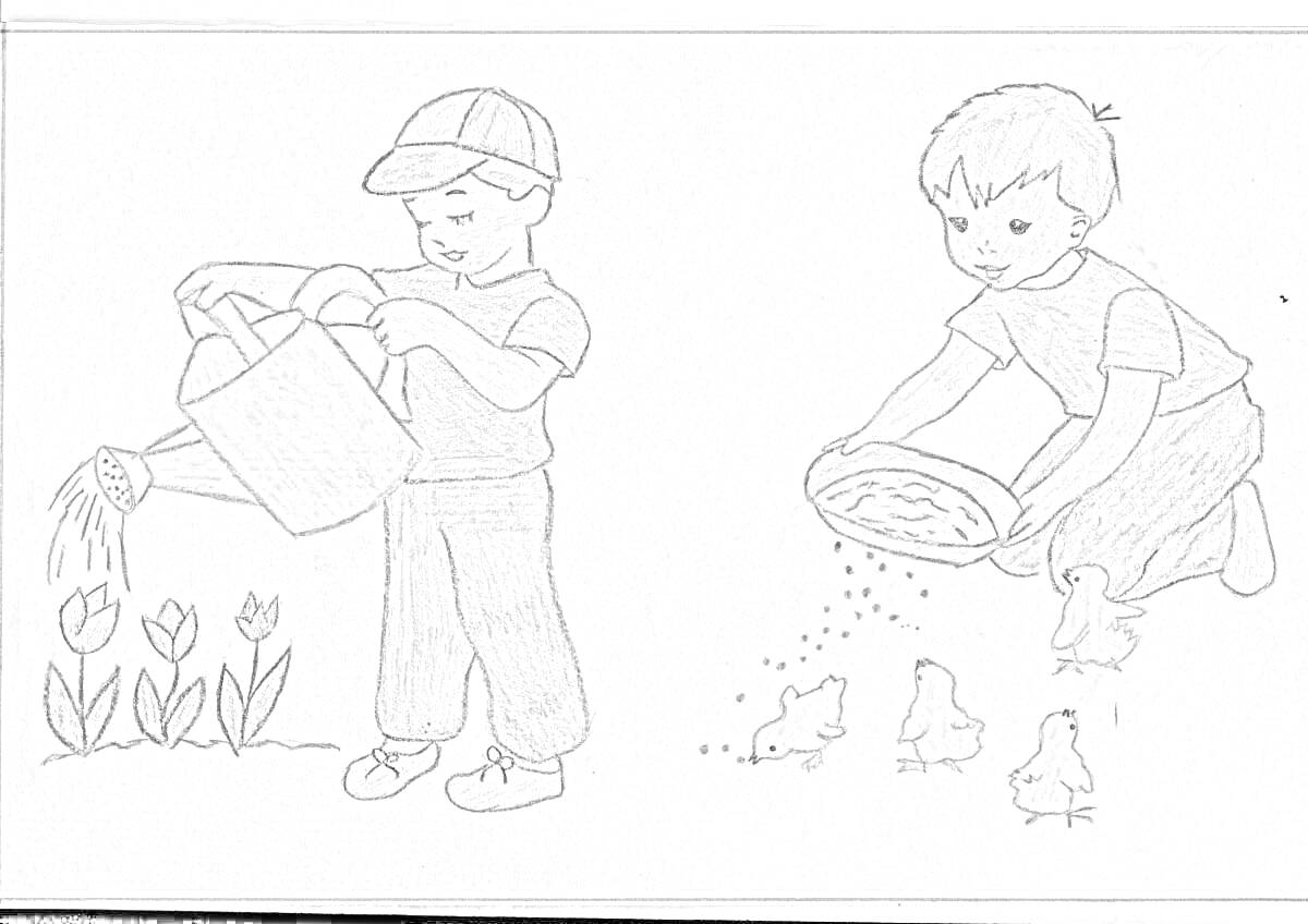 На раскраске изображено: Мальчик, Лейка, Цветы, Цыплята, Кормить, Земля, Зерна, Одежда, Помощь, Природа