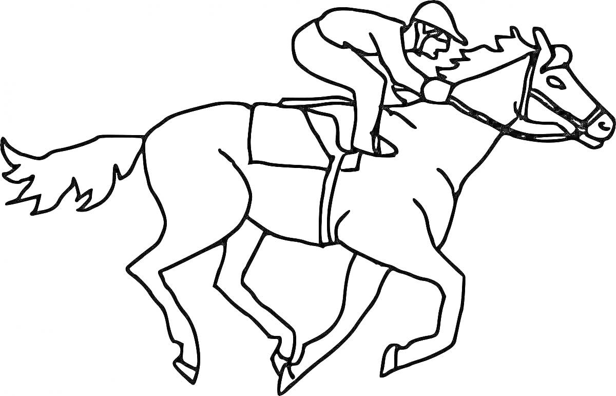 На раскраске изображено: Лошадь, Наездник, Соревнования, Скачки, Сабантуй, Спорт