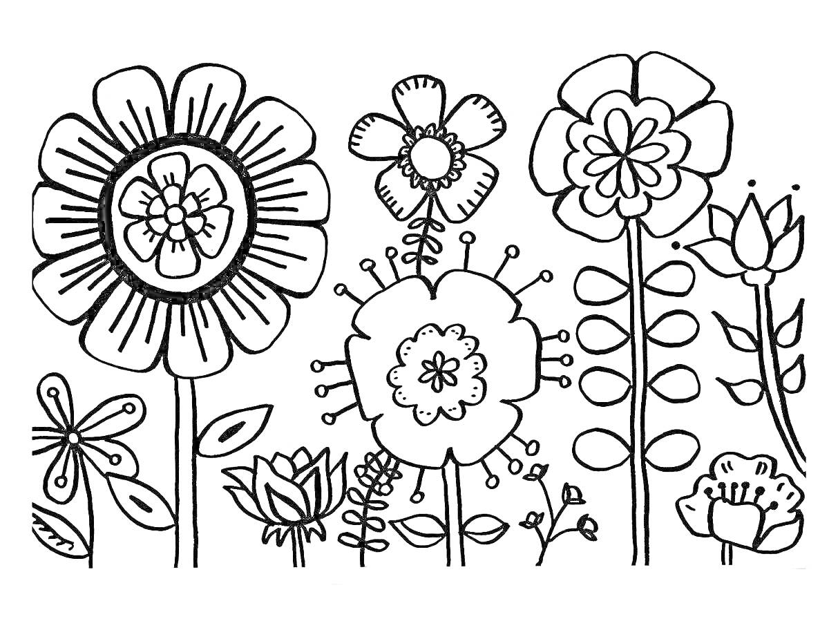 На раскраске изображено: Цветы, Листья, Графика, Бутон