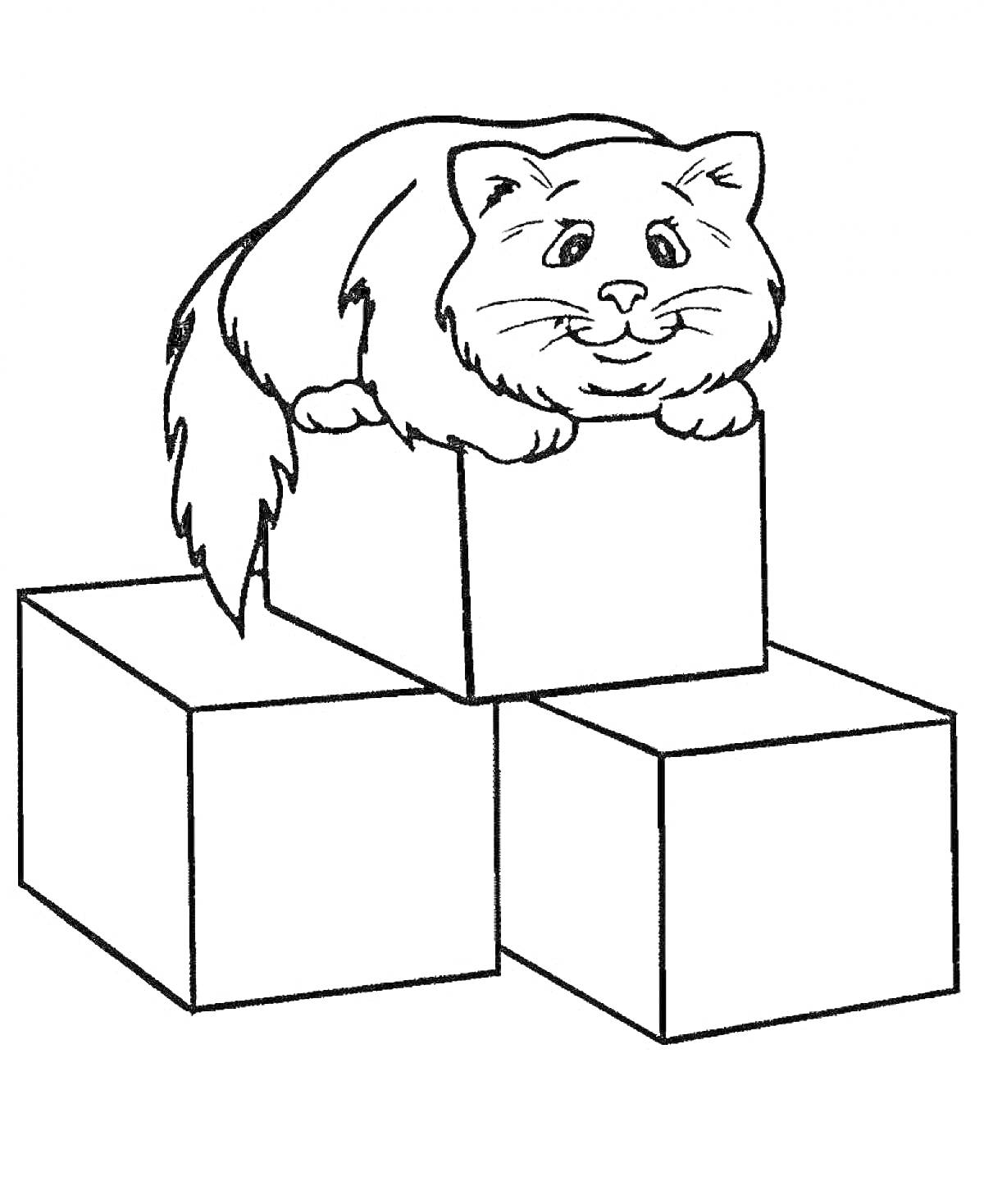 На раскраске изображено: Котёнок, Кубики, Животное, Геометрические фигуры, Контур