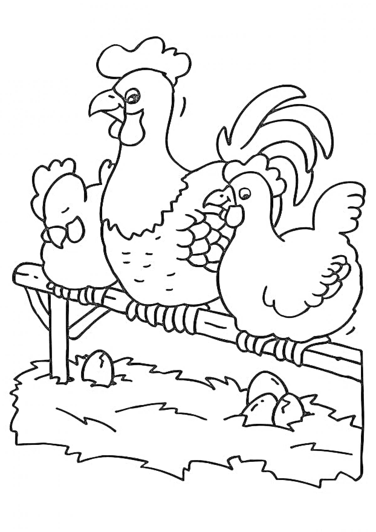 Раскраска Петух, две курицы и яйца на сене