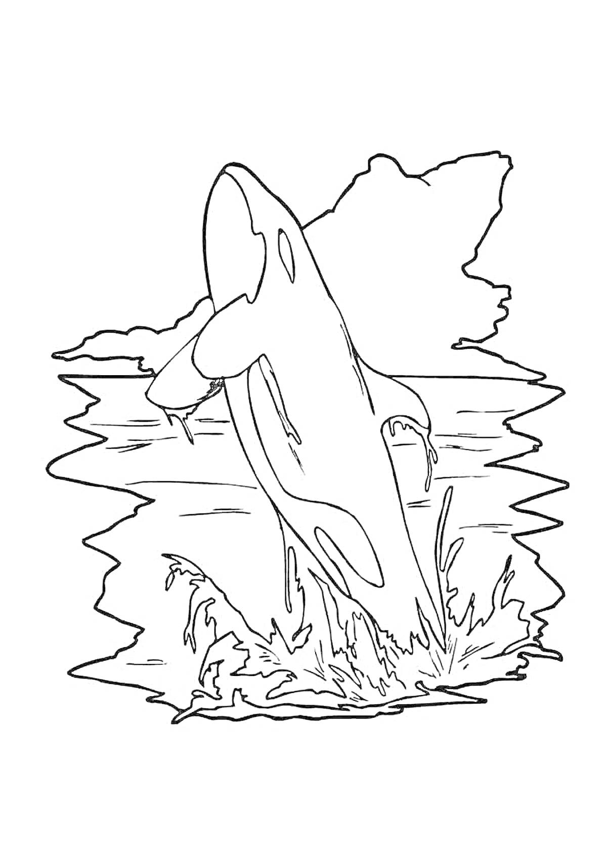 Раскраска Касатка прыгает из воды на фоне гор
